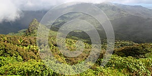 El Yunque Rainforest - Puerto Rico