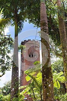 El Yunque Rainforest in Puerto Rico Yokahu Observation tower