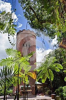 El Yunque Rainforest in Puerto Rico Yokahu Observation tower