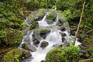 El Yunque river stream
