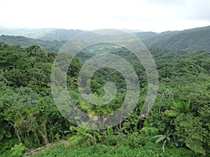 El Yunque Valley