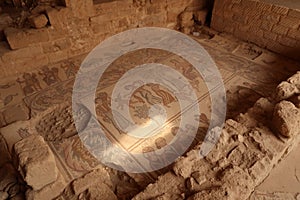 Elaborate floor mosaic of the hippolytus hall in the Madaba Archaeological Park, Madaba, Jordan