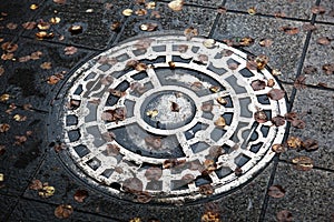 Elaborate manhole cover