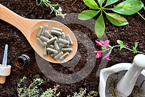 Elaboration of natural plant medicine with elements on soil photo