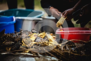 Elaboration of Pachamanca in an stone oven