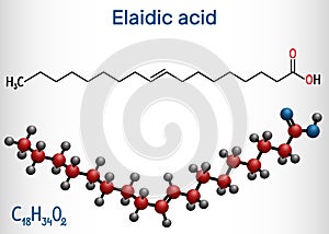 Elaidic acid molecule. Structural chemical formula and molecule model