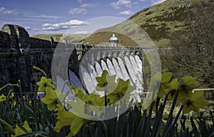 Elan Valley in Spring