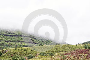 Eland are visible on the slopes of Ploughmans Kop