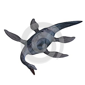 Elasmosaurus