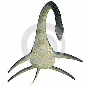 Elasmosaurus Aquatic Reptile