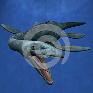Elasmosaurus- Catch