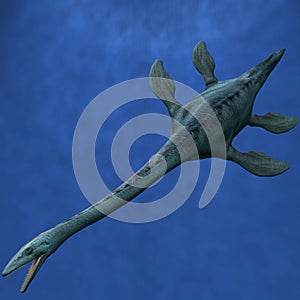 Elasmosaurus- Dive