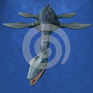 Elasmosaurus- Hunting