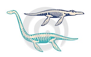 Elasmosaurus And Mosasaurus Dinosaur Skeleton Bones Fossils. Isolated Plesiosaur Of Late Cretaceous Period, Underwater photo
