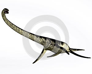 Elasmosaurus Reptile on White