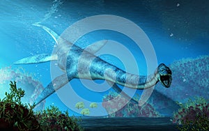 Elasmosaurus Swimming Towards You