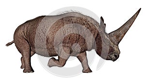 Elasmotherium dinosaur rhinoceros - 3D render