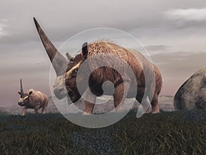 Elasmotherium mammal dinosaurs - 3D render