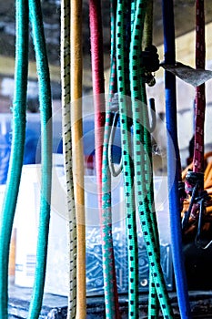 Elastic Bungee Cords