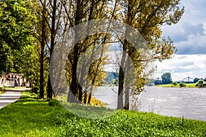 Elbe in Dresden