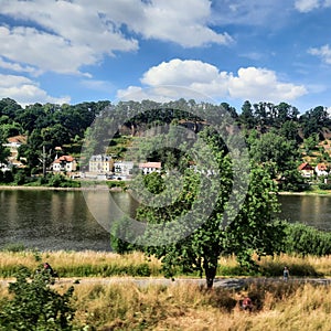 Elbe river  Saxony  schweiz germany summertime