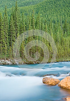 Elbow Falls at Nightfall