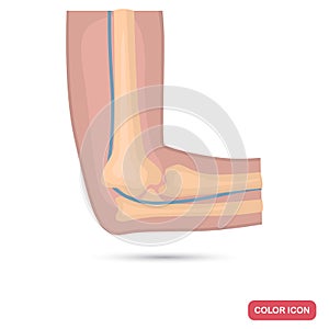 Elbow joint of a human color flat icon