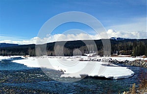 Elbow River, Nature