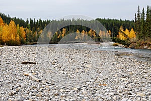 Elbow river valley in autumn