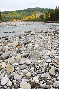 Elbow river valley in autumn