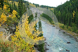 Elbow river valley in autumn