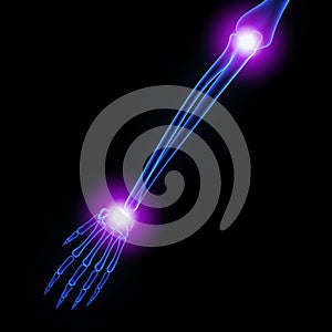 Elbow and Wrist Joint