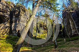 Elbsandstonemountains in Tissa, Czech Republic