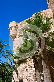 Elche Elx Alicante el Palmeral Palm trees Park and Altamira Palace photo
