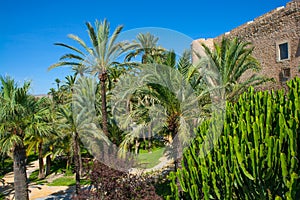 Elche Elx Alicante el Palmeral Palm trees Park and Altamira Palace photo