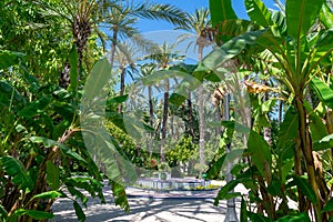 Elche Municipal Park, Alicante province, Valencian Community. Spain. Europe.