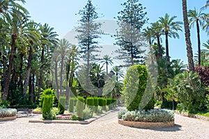 Elche Municipal Park, Alicante province, Valencian Community. Spain. Europe.