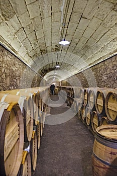 Elciego, Ãlava, Spain. April 23, 2018: Interior of the wine cellars called MarquÃ©s de Riscal with wine aging in oak barrels in d