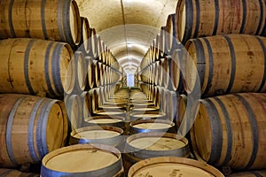 Elciego, Ãlava, Spain. April 23, 2018: Interior of the wine cellars called MarquÃ©s de Riscal with wine aging in oak barrels in d