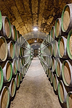 Elciego, Ãlava, Spain. April 23, 2018: Interior of the wine cellars called MarquÃ©s de Riscal with wine aging in oak barrels in d