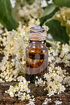 Elder essential oil