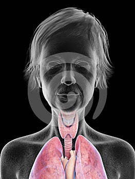 An elder females throat anatomy