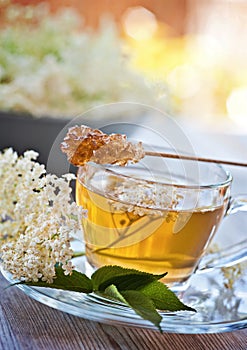 Elder flower tea