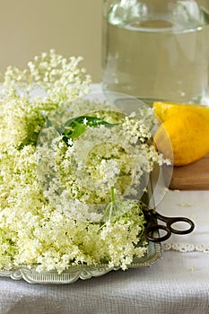 Elder flowers, water, lemon and sugar, ingredients for making elder syrup. Rustic style.