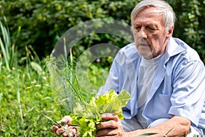 This elder individuals connection to the earth is palpable as he tenderly holds a clump of fresh greens, showcasing the
