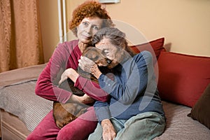 Elder woman and her adult daughter together with two dachshund dogs on sofa indoors spend time happily, portrait. Theme of mother
