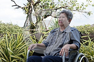 elder woman in wheelchair resting in garden. elderly female relaxing in park. senior leisure lifestyle outdoors.