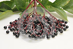 Elderberries