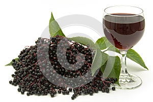 Elderberry