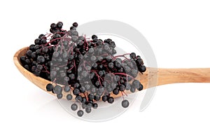 Elderberry Fruit